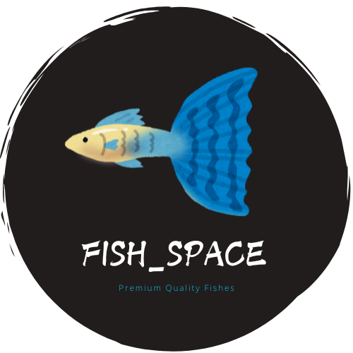 FishSpace